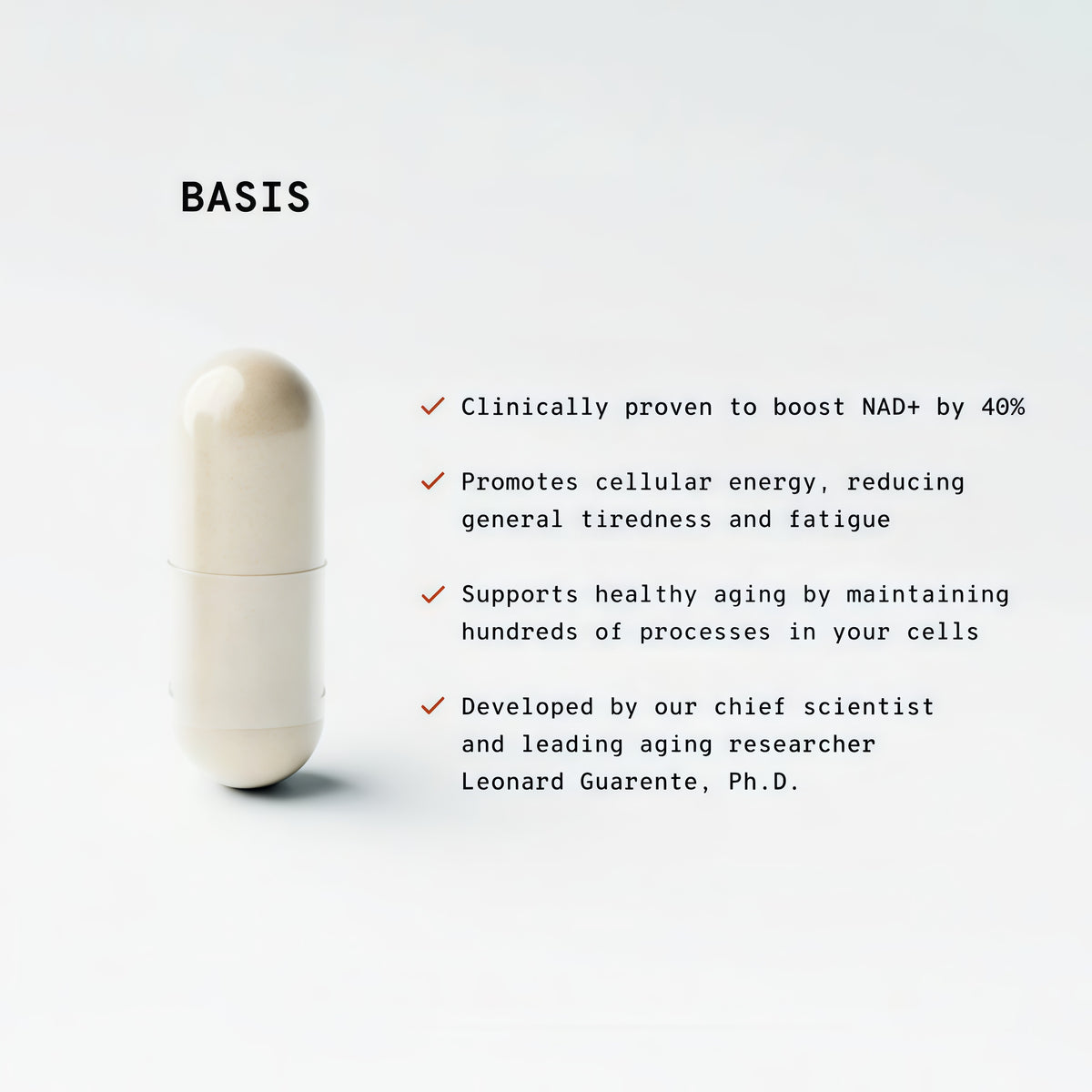 Basis