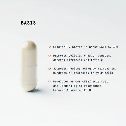 Basis